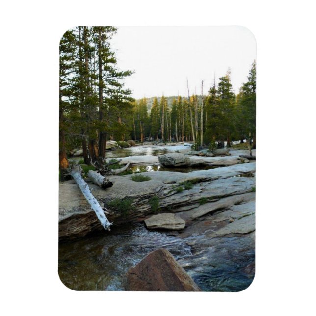 Magnet Flexible Tuolumne river by campground, yosemite, CA (Vertical)