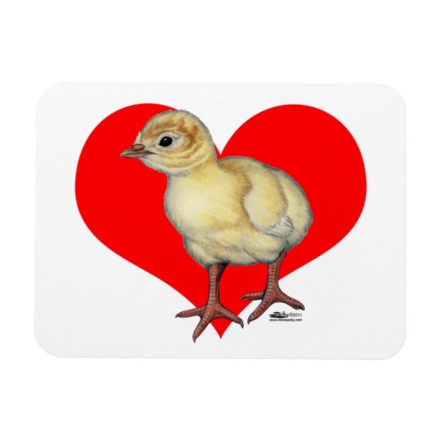Magnet Flexible Turquie Coeur de coquille (Horizontal)