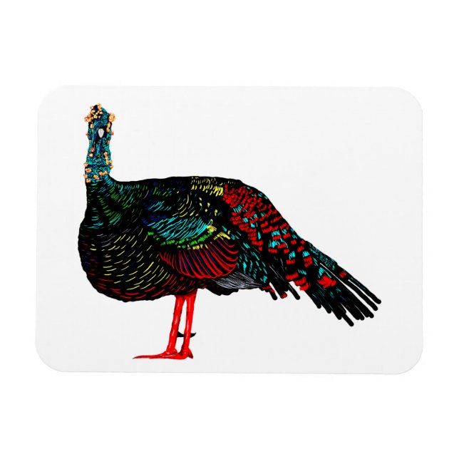 Magnet Flexible Turquie isolée (Horizontal)