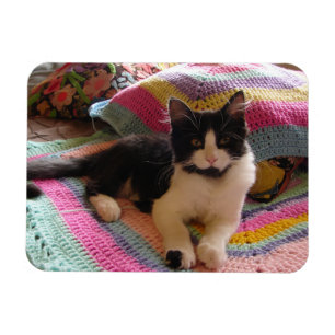 Magnet Flexible Tuxedo Cat Cute avec jolie carte de tapis Crochet