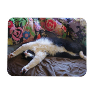 Magnet Flexible Tuxedo Cat Cute faire une carte postale mexicaine