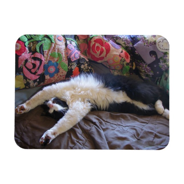 Magnet Flexible Tuxedo Cat Cute faire une carte postale mexicaine (Horizontal)