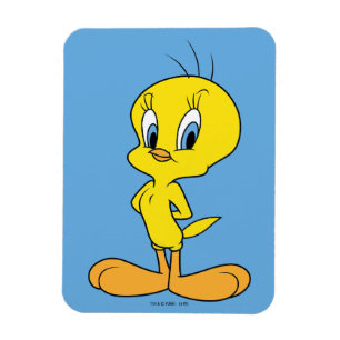 Magnet Flexible TWEETY™   Oiseau intelligent