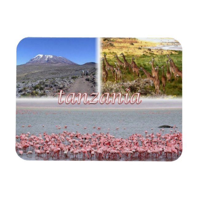 Magnet Flexible TZ Tanzanie - (Horizontal)