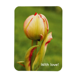 Magnet Flexible Un bourgeon de tulipe