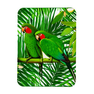 Magnet Flexible Un couple de perroquets verts dans un cadre de jun