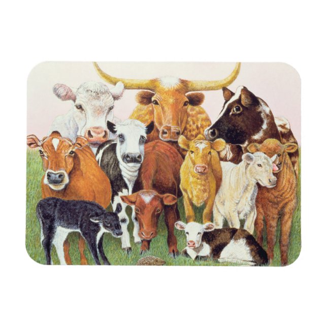 Magnet Flexible Un étranger surprenant (Horizontal)