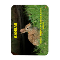 Un lapin dans le Kansas t'aime l'aimant.