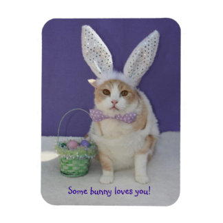 Magnet Flexible Un Lapin T'Aime Chat Kitty Pâques