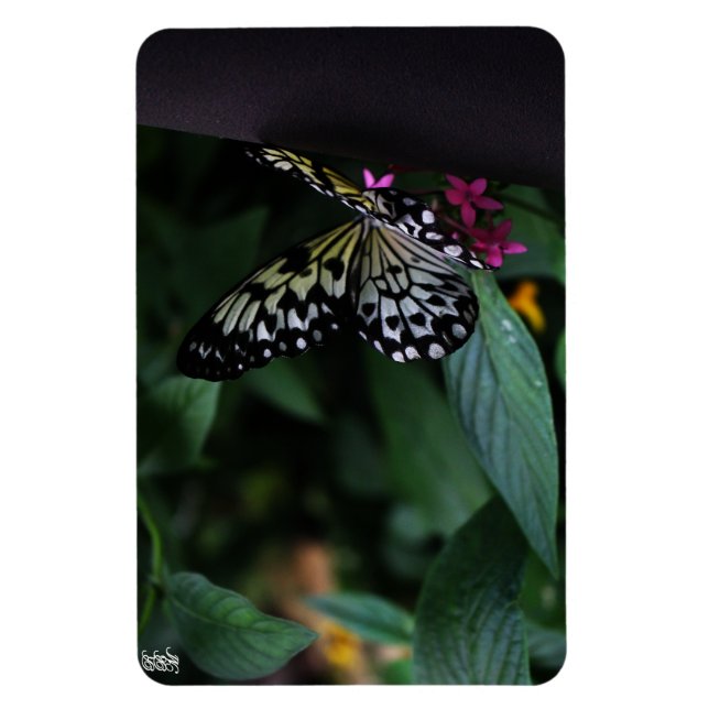 Magnet Flexible Un papillon jaune sur des fleurs roses (Vertical)