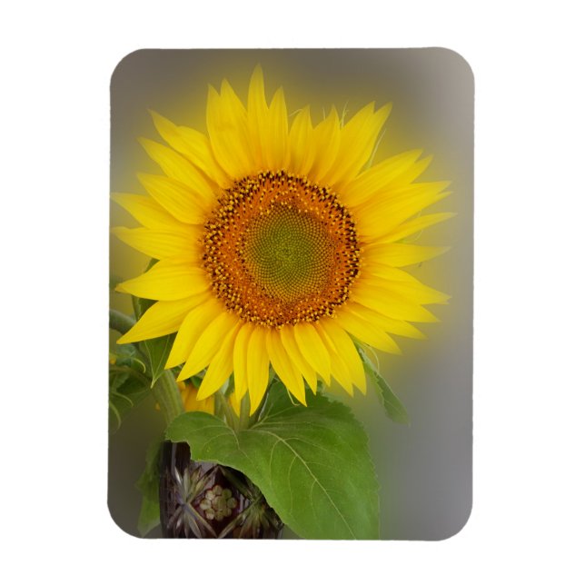 Magnet Flexible un tournesol brillant (Vertical)