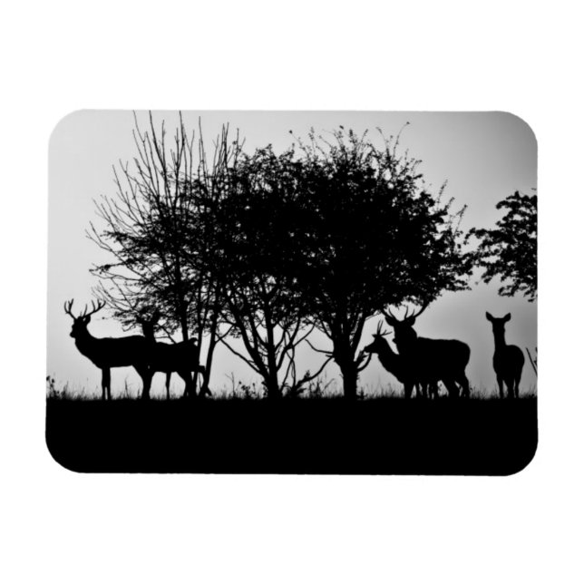 Magnet Flexible Une image de cerfs dans la brume matinale (Horizontal)