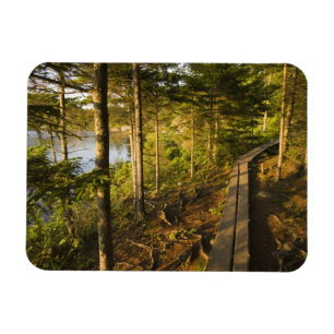Magnet Flexible Une passerelle en bois dans le parc national d'Aca