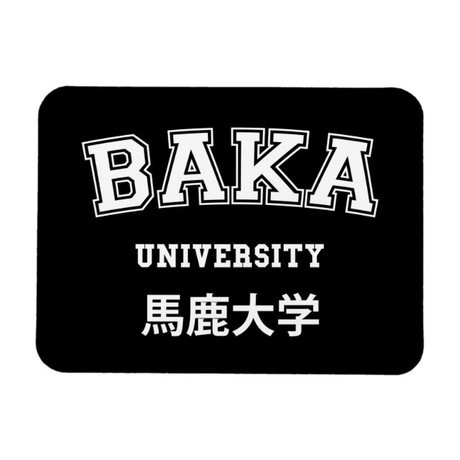 MAGNET FLEXIBLE UNIVERSITÉ DE BAKA (Horizontal)