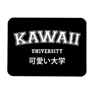 MAGNET FLEXIBLE UNIVERSITÉ DE KAWAII