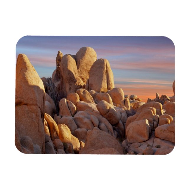 Magnet Flexible USA, Californie, Parc national de Joshua Tree (Horizontal)