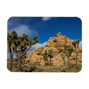 Magnet Flexible USA, Californie, Parc national Joshua Tree