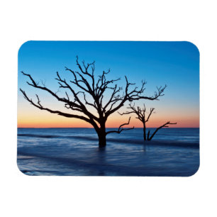 Magnet Flexible USA, Caroline du Sud, Edisto Island, Botany Bay