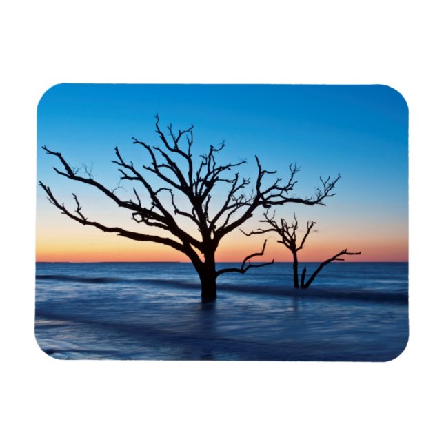 Magnet Flexible USA, Caroline du Sud, Edisto Island, Botany Bay (Horizontal)