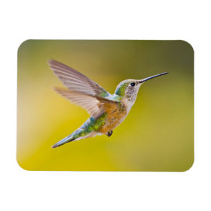 Magnet Flexible USA, Colorado, Summit County, Heeney. Vue de côté