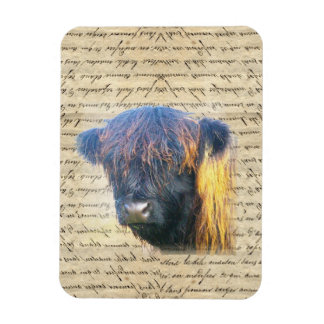 Magnet Flexible Vache de Highland