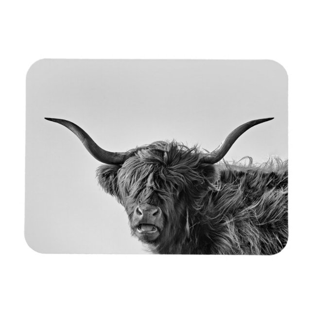 Magnet Flexible Vache des hautes terres robuste en monochrome (Horizontal)