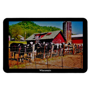 Magnet Flexible Vaches du Wisconsin