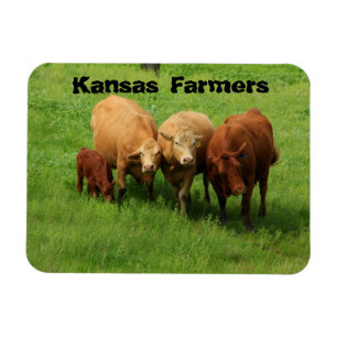 Magnet Flexible Vaches fermières du Kansas