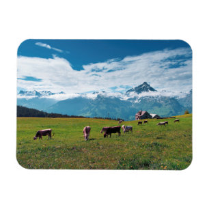 Magnet Flexible Vaches heureuses à la ferme en Suisse