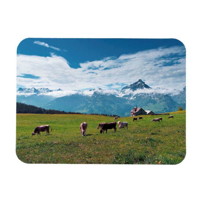 Magnet Flexible Vaches joyeuses sur la ferme en Suisse (Horizontal)
