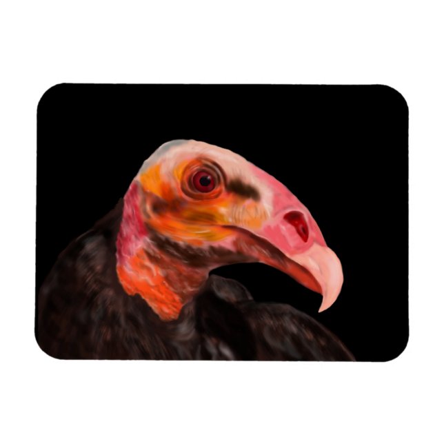 Magnet Flexible Vautour de Savannah (Horizontal)