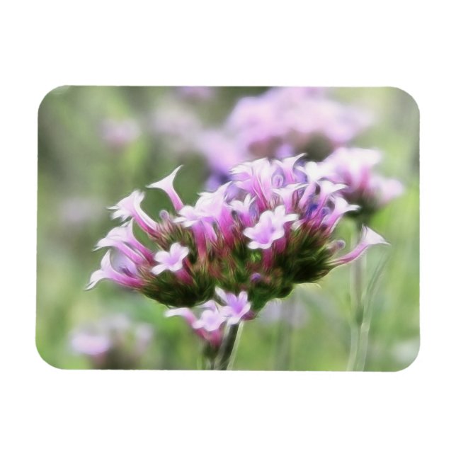 Magnet Flexible Verbena Bonariensis (Horizontal)