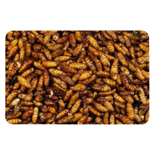 Magnet Flexible Vers de soie frits ... Thai Street Food (Horizontal)