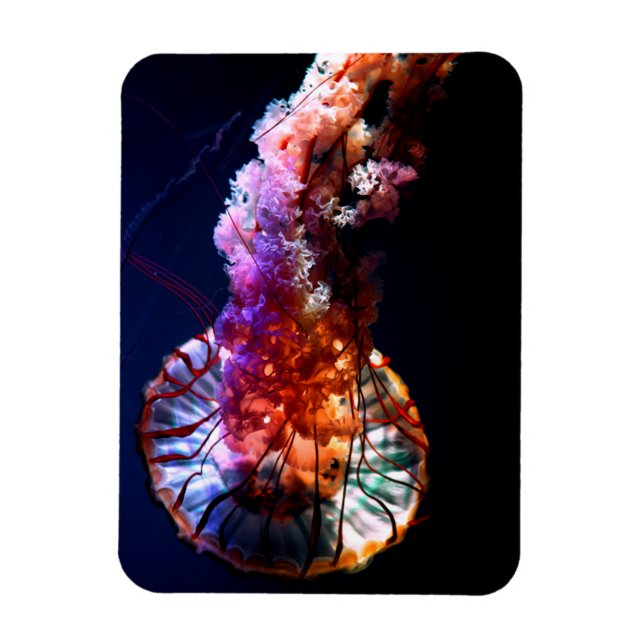 Magnet Flexible Vibrant Tropical Undersea Jellyfish (Vertical)