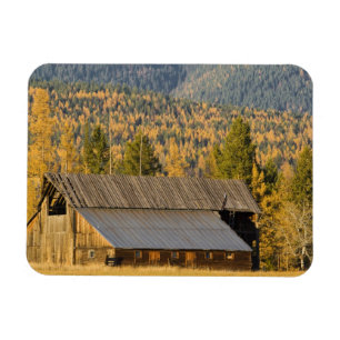 Magnet Flexible Vieille grange en bois avec des tamaracks d'automn