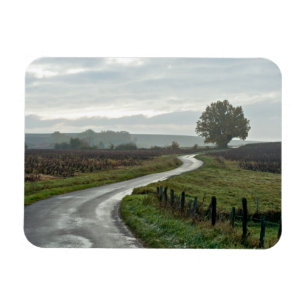 Magnet Flexible Vignoble chez Lantignié de département de Rhône