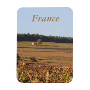 Magnet Flexible Vignoble en France imprimé sur un aimant