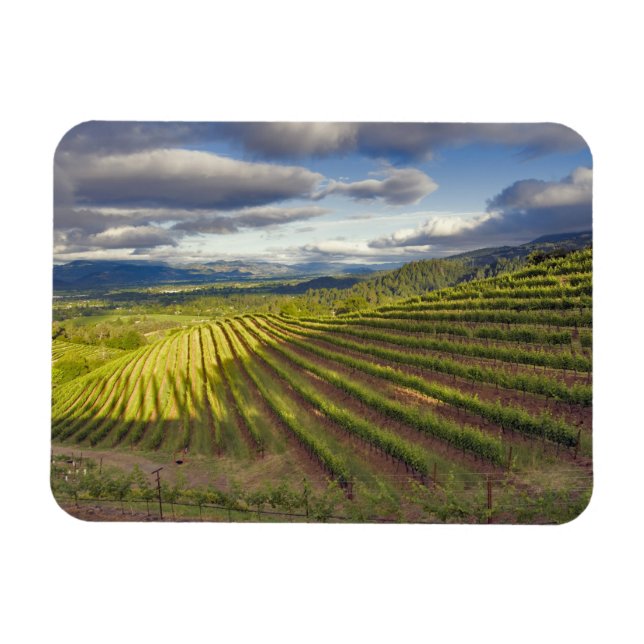 Magnet Flexible Vignoble. Vallée de Napa. Napa. Comté de Napa, (Horizontal)
