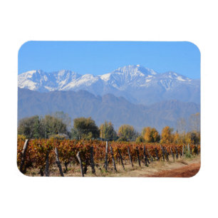 Magnet Flexible Vignobles en automne de Mendoza, Argentine