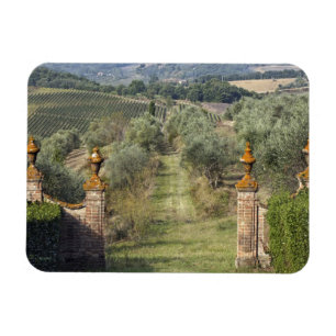 Magnet Flexible Vignobles, Toscane, Italie