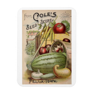 Magnet Flexible Vintage 1900 Cole's Seed Store Ad