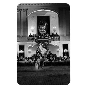 Magnet Flexible Vintage Autriche Vienne Courbette espagnole