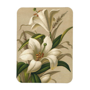 Magnet Flexible Vintage Easter Lilies, Victorian Flowers in Bloom