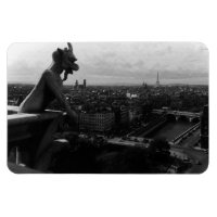 Vintage France Paris Cathédrale Notre Dame diable