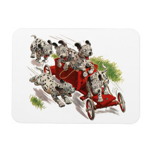 Magnet Flexible Vintage Humour mignon Chiens de chiot dalmate Cami