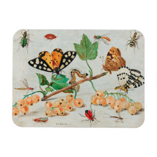 Magnet Flexible Vintage Illustrator of butterflies on berries