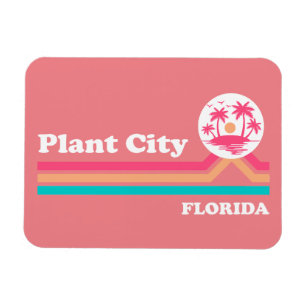 Magnet Flexible Vintage Plante ville Floride