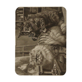 Magnet Flexible Vintage Sepia Cat Tattoo Artist – Funny Victorian