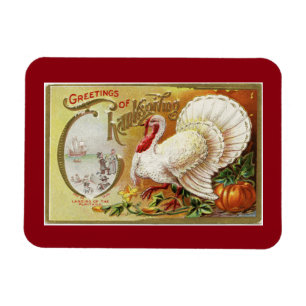 Magnet Flexible Vintage Turquie blanche