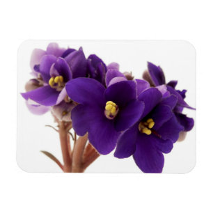 Magnet Flexible Violet africain